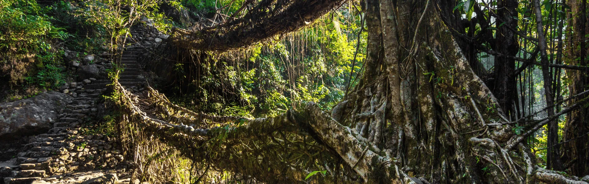 meghalaya