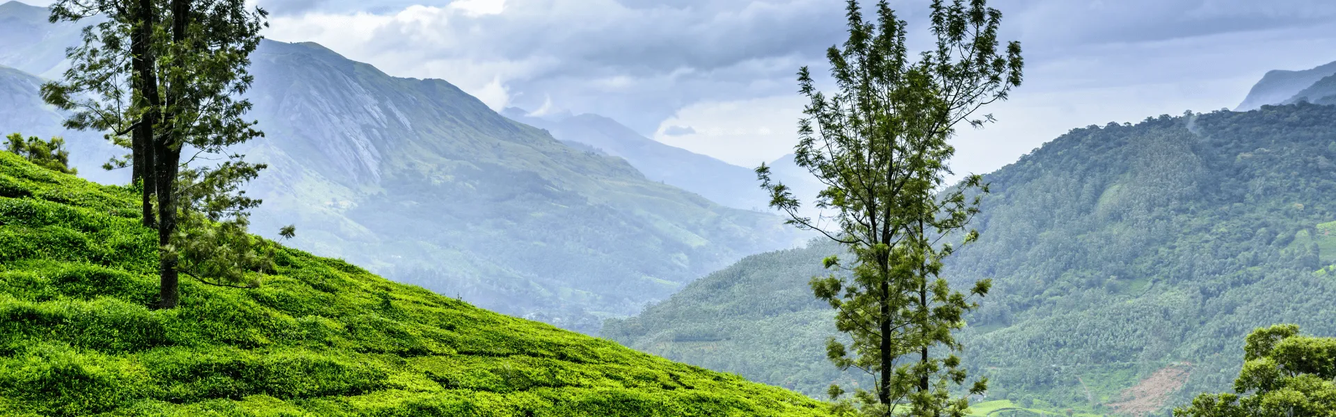 wayanad