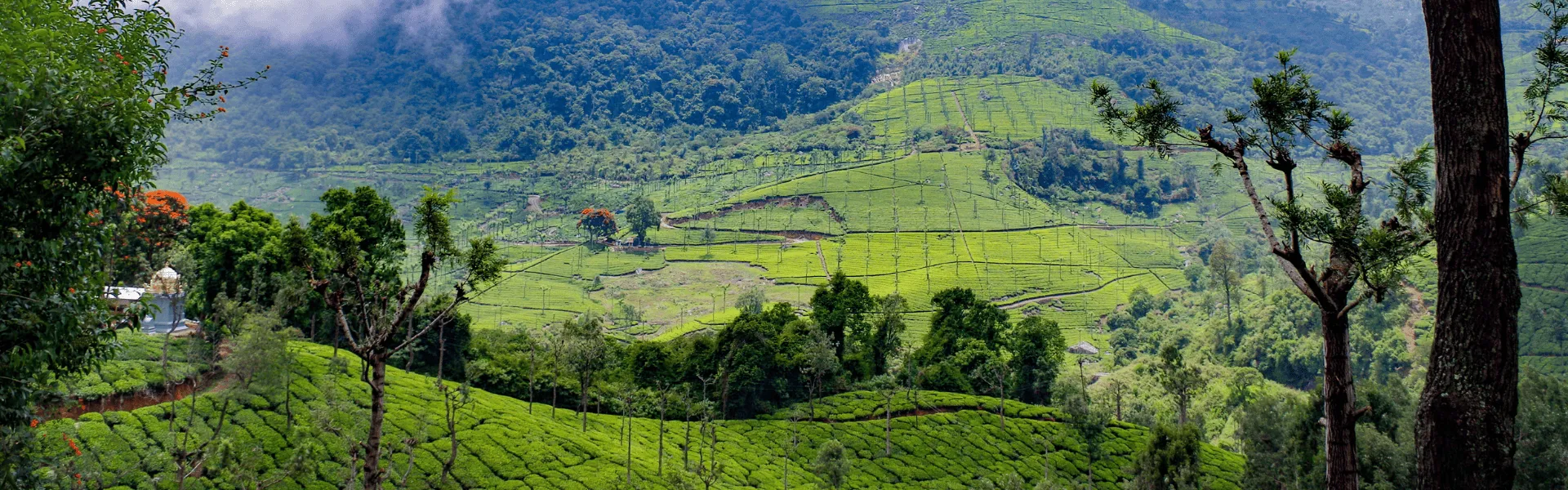 coonoor