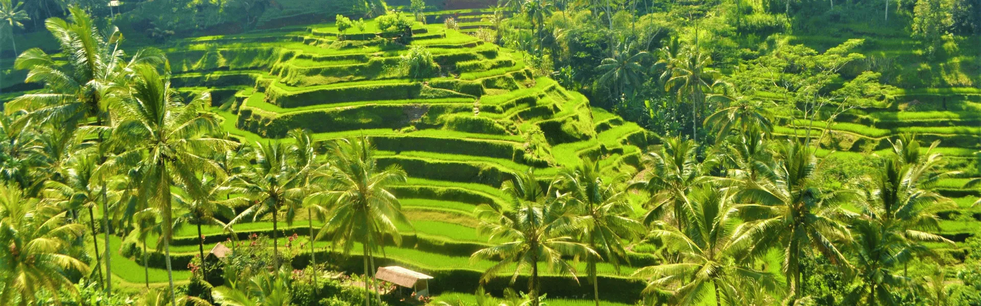 ubud